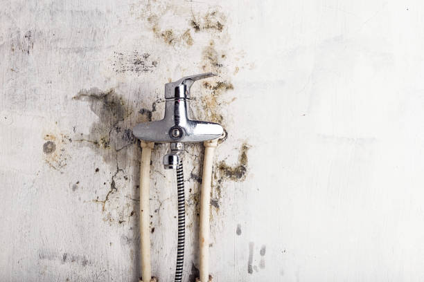  Maysville, OK Mold Removal Pros