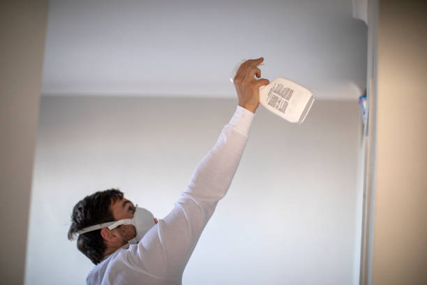 Best Professional Mold Removal  in Maysville, OK