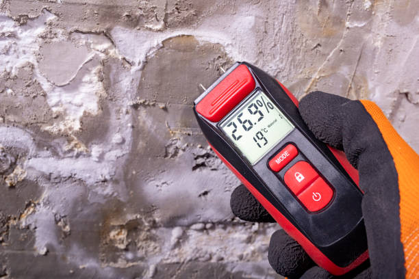 Certified Mold Removal in Maysville, OK