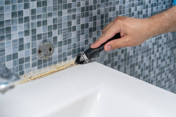 Best Mold Removal Company Near Me  in Maysville, OK