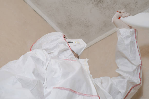Best Commercial Mold Removal  in Maysville, OK