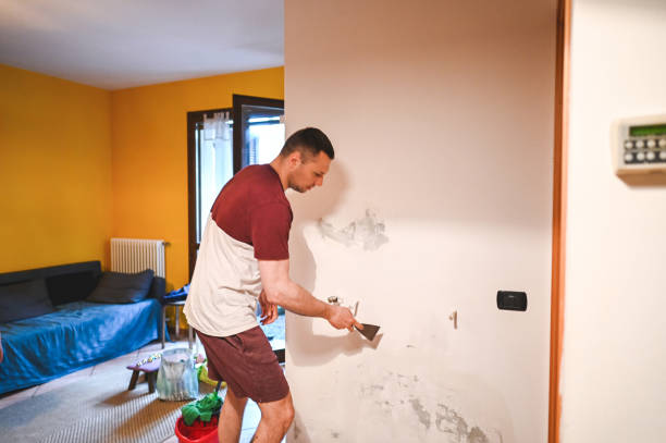 Best Mold Damage Repair  in Maysville, OK